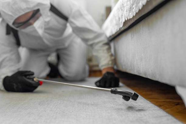 Professional Bed Bug Control technician working in Allegan County County, MI